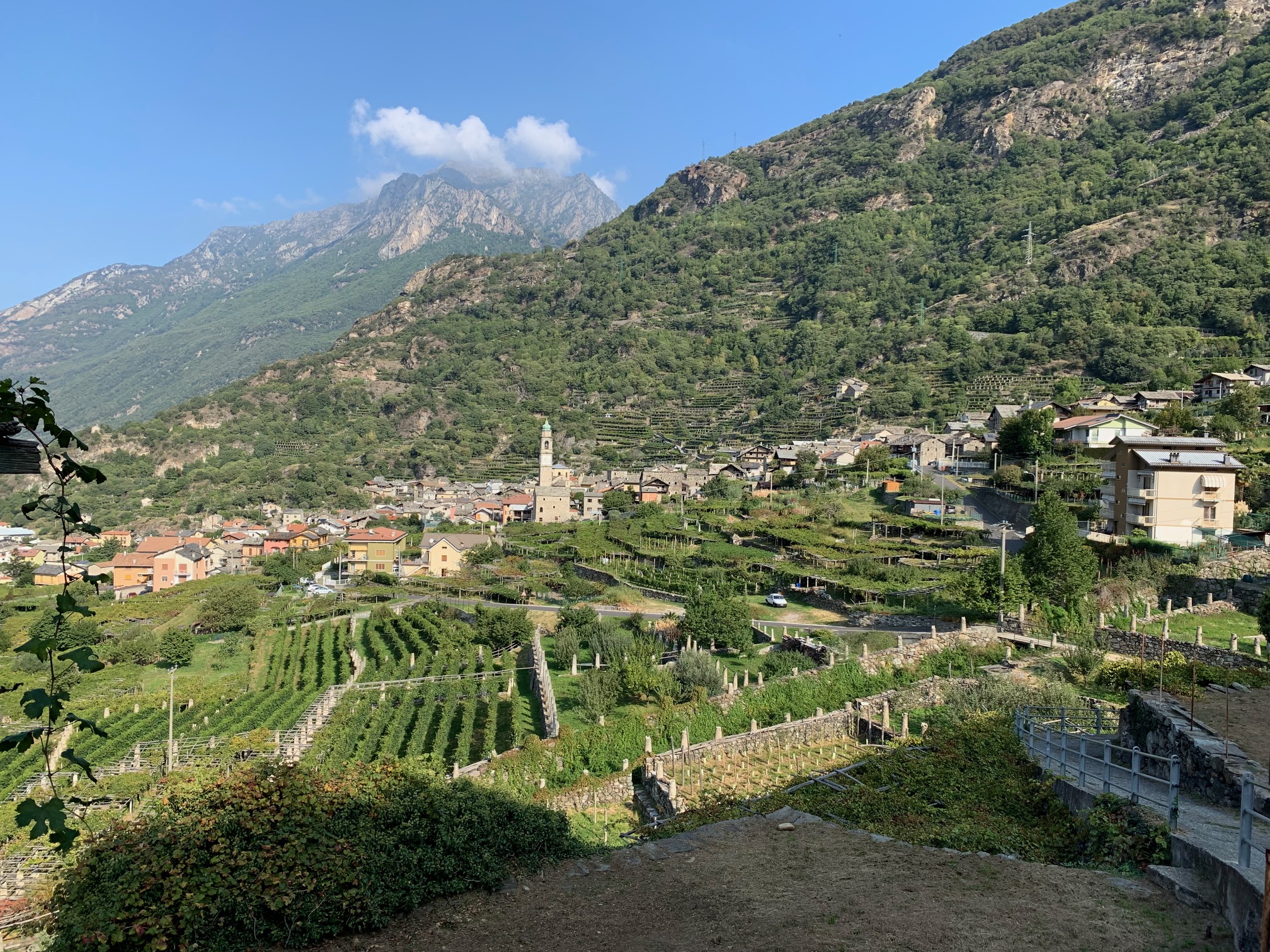 Cantina di Carema